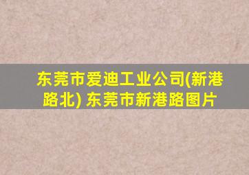 东莞市爱迪工业公司(新港路北) 东莞市新港路图片